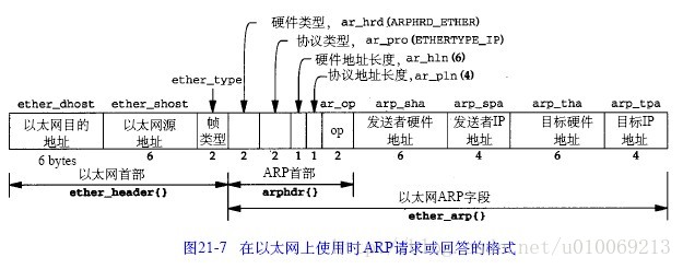ARP报文结构